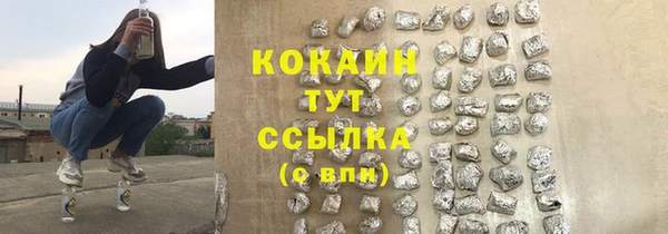 соль ск Новозыбков