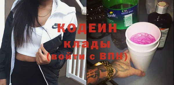 соль ск Новозыбков
