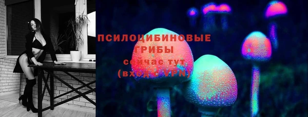 соль ск Новозыбков