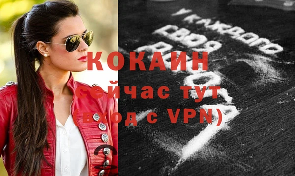 соль ск Новозыбков