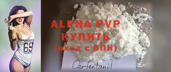соль ск Новозыбков