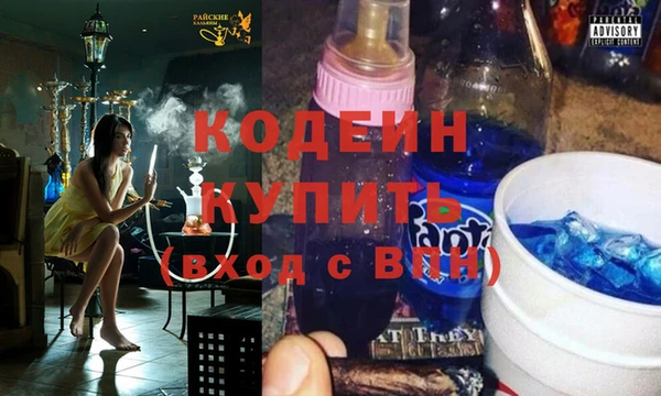 соль ск Новозыбков