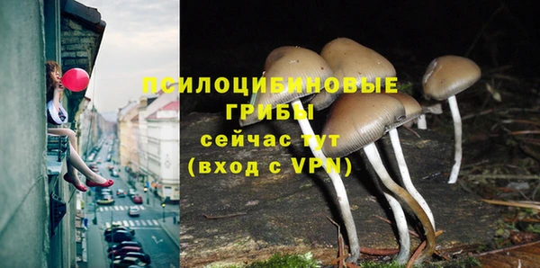 соль ск Новозыбков