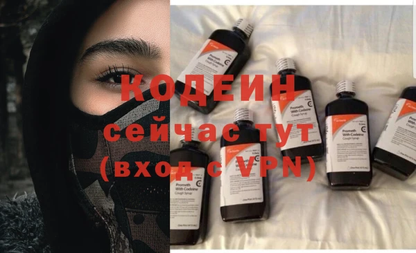 соль ск Новозыбков