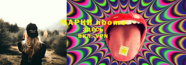 соль ск Новозыбков