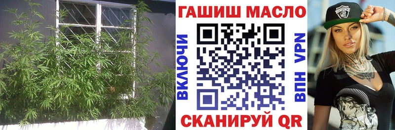 даркнет Telegram  Сусуман  ТГК THC oil 